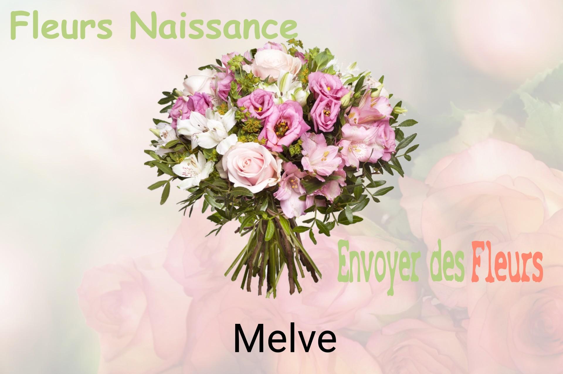 Bouquet de fleurs de naissance livré à Melve