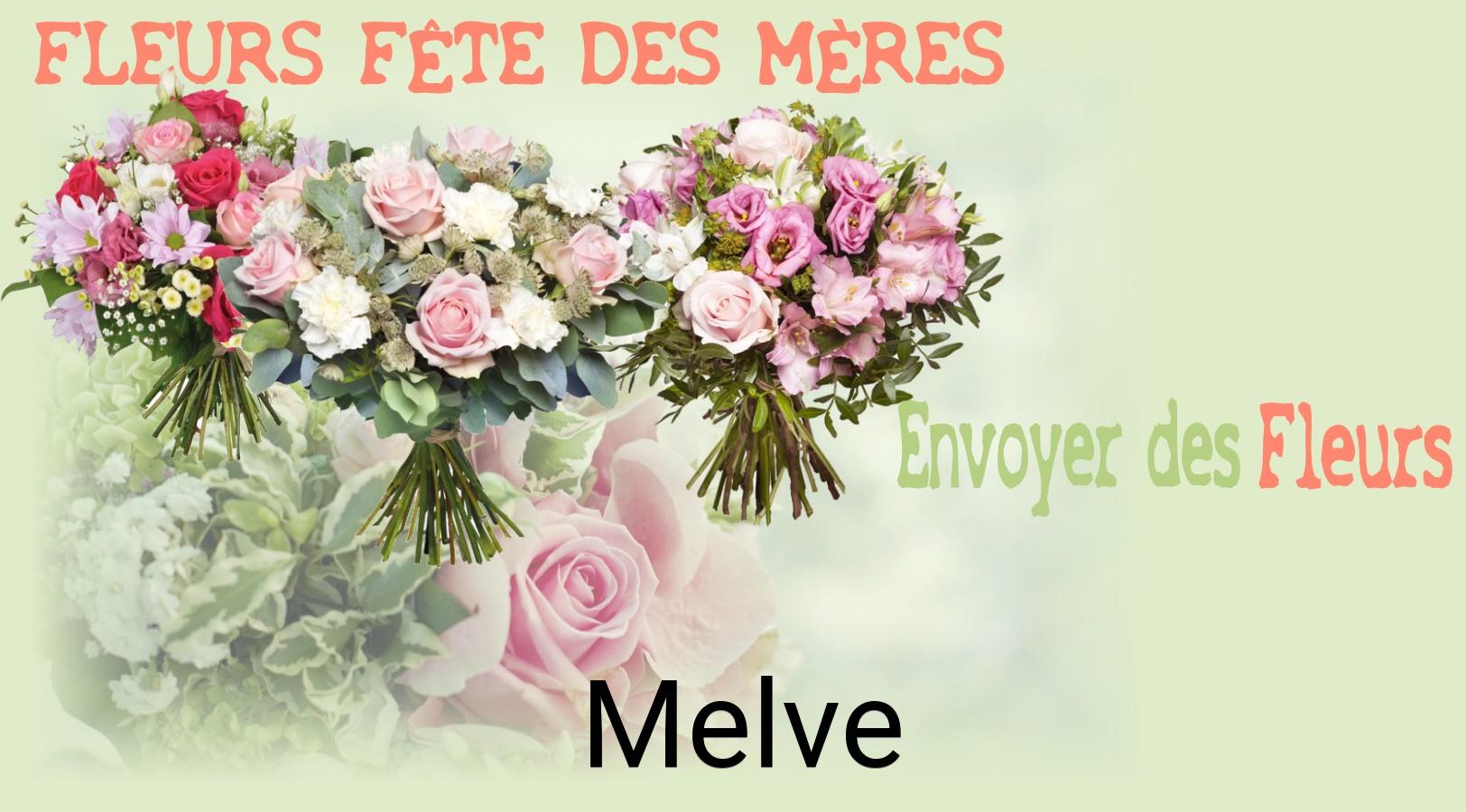 Bouquet de Fête des Mères livré à Melve